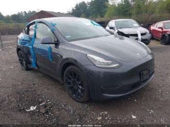  Salvage Tesla Model Y