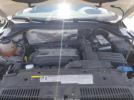 Volkswagen Tiguan Image 2