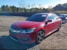 Honda Accord Sport Image 3