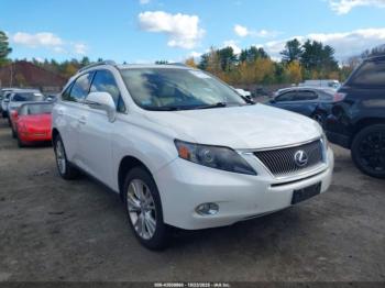  Salvage Lexus RX