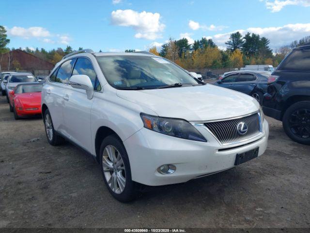  Salvage Lexus RX