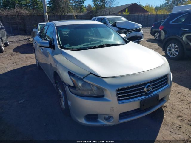 Nissan Maxima 3.5 Sv Image 1