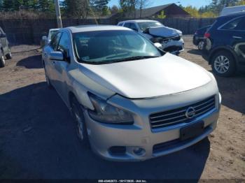  Salvage Nissan Maxima