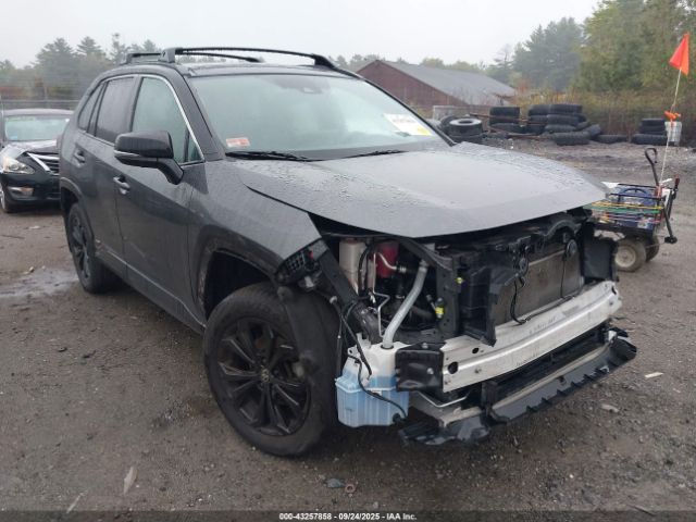 Toyota RAV4 Xse Image 1