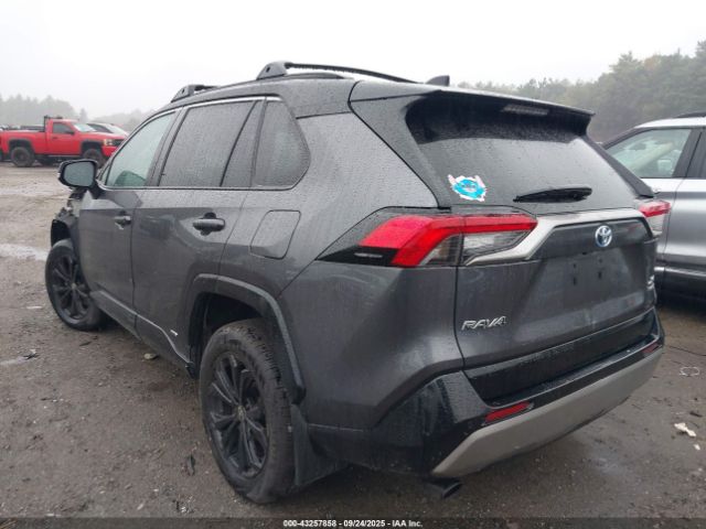 Toyota RAV4 Xse Image 7