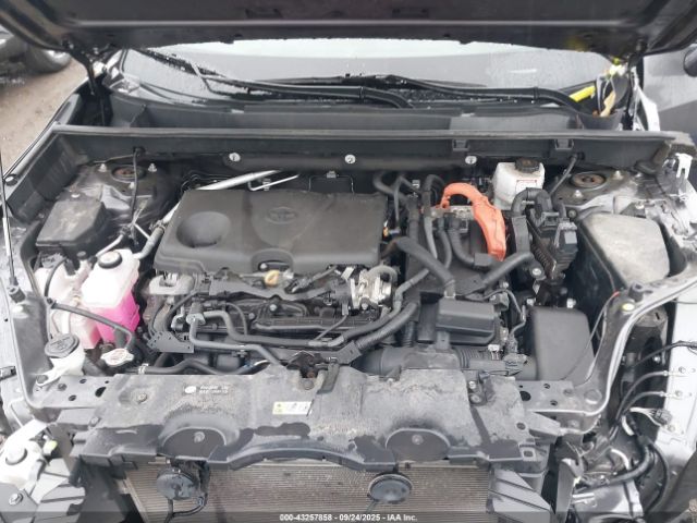 Toyota RAV4 Xse Image 9