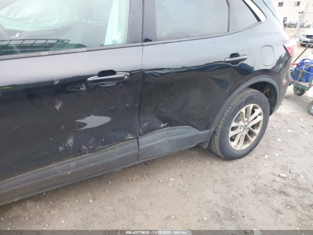 Ford Escape Se Image 8