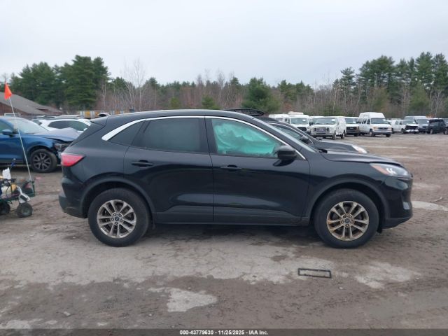 Ford Escape Se Image 11