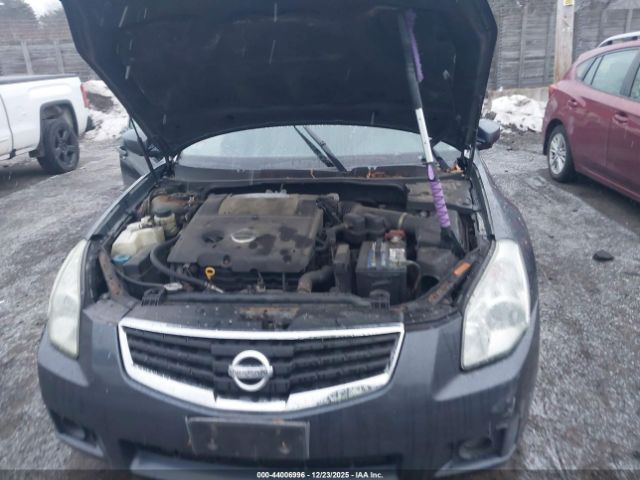 Nissan Maxima 3.5 Se Image 4