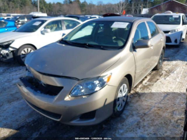 Toyota Corolla Le Image 11