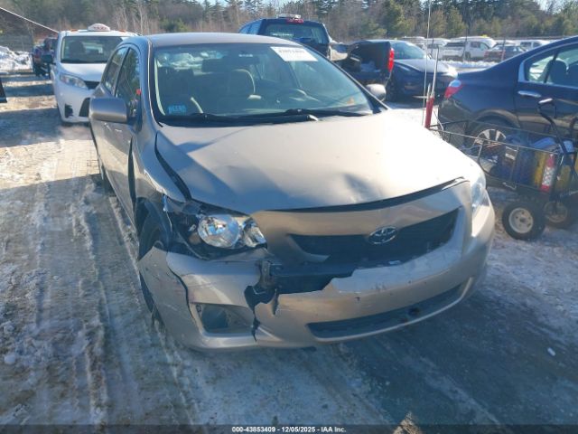 Toyota Corolla Le Image 5