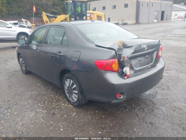 Toyota Corolla Le Image 9