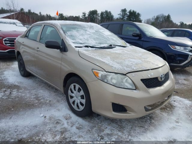 Toyota Corolla Image 1