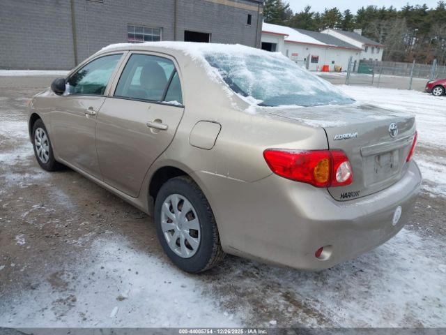 Toyota Corolla Image 8