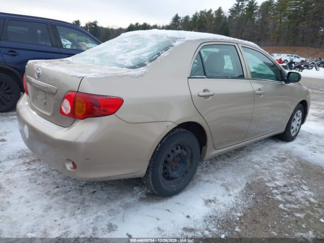 Toyota Corolla Image 6