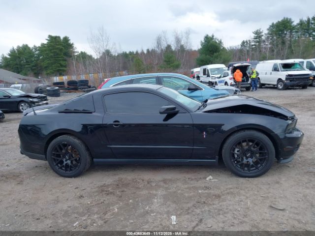 Ford Mustang V6 Premium Image 10