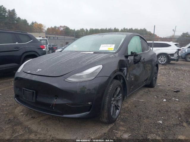 Tesla Model Y Long Range Dual Motor All-wheel Drive Image 3