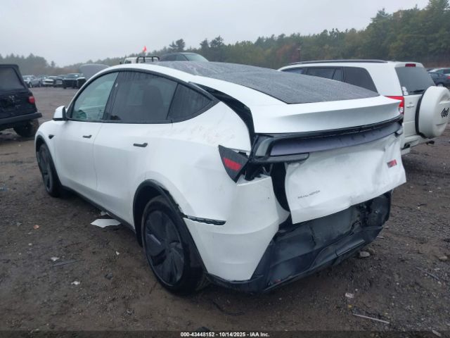 Tesla Model Y Image 13