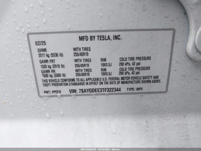Tesla Model Y Image 5