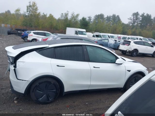 Tesla Model Y Image 15