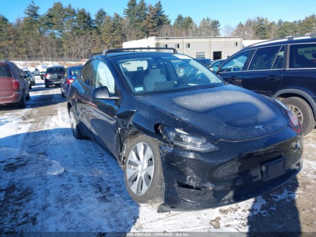 Tesla Model Y Image 13