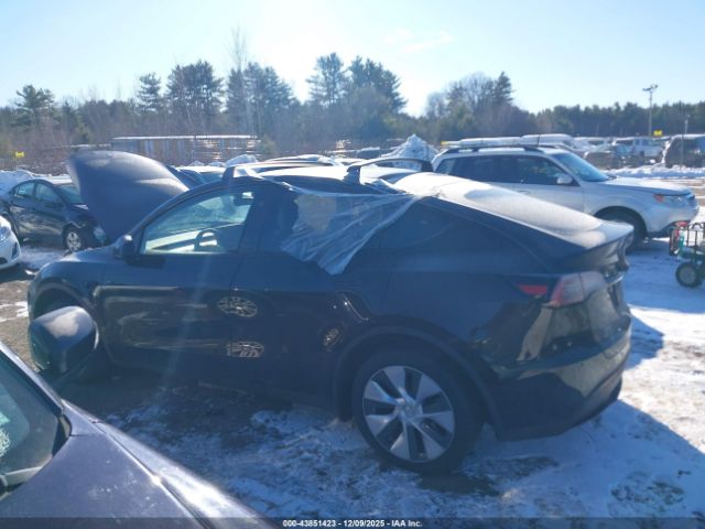 Tesla Model Y Image 6